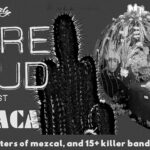We’re Loud Fest: punk, garage y surf en Puerto Escondido, conoce el cartel